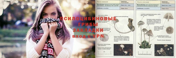 бошки Краснослободск