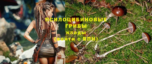 бошки Краснослободск