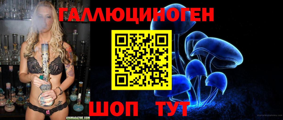 Галлюциногенные грибы Psilocybine cubensis  Вход с VPN  Галлюциногенные грибы мицелий  Тында 