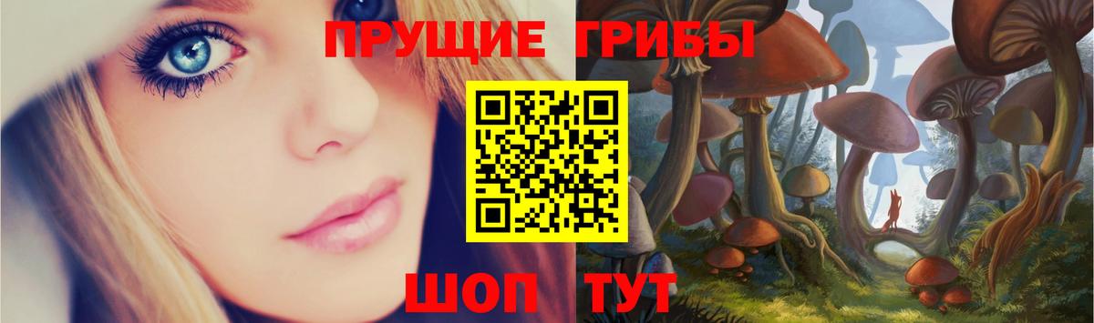 Псилоцибиновые грибы мухоморы Тында